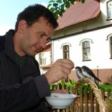 Jarek